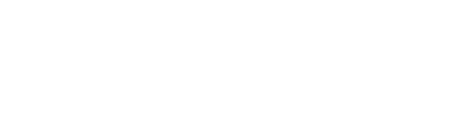 BT Surge — Braid Theory